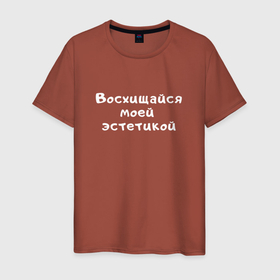 Мужская футболка хлопок с принтом Моя эстетика | Мем в Белгороде, 100% хлопок | прямой крой, круглый вырез горловины, длина до линии бедер, слегка спущенное плечо. | meme | text | восхищайся | восхищение | другу | мем | надпись | подарок | прикол | прикольная | смысл | со смыслом | статус | текст | цитата | цитаты | эстетика