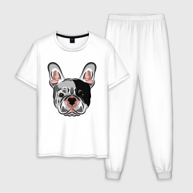 Мужская пижама хлопок с принтом Французский бульдог черно серый в Белгороде, 100% хлопок | брюки и футболка прямого кроя, без карманов, на брюках мягкая резинка на поясе и по низу штанин
 | Тематика изображения на принте: бульдог | иллюстрация | пес | собака | щенок