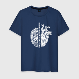 Мужская футболка хлопок с принтом Сердце и Разум в Екатеринбурге, 100% хлопок | прямой крой, круглый вырез горловины, длина до линии бедер, слегка спущенное плечо. | анатомия | любовь | мозг | сердечко | сердце и разум | ум | чувства