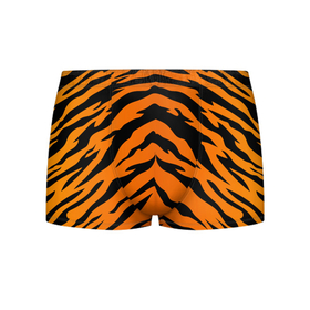 Мужские трусы 3D с принтом Шкура тигра в Санкт-Петербурге, 50% хлопок, 50% полиэстер | классическая посадка, на поясе мягкая тканевая резинка | 2022 | tiger | животное | полосатый | полоски | полосы | тигр | хищник