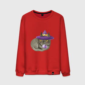 Мужской свитшот хлопок с принтом Котик МЯУ и волшебная сфера в Новосибирске, 100% хлопок |  | ведьма шляпа | ведьмина шапка | волшебная сфера | кот | кот в колпаке | кот в шляпе | котик мяу | кошка | мяу