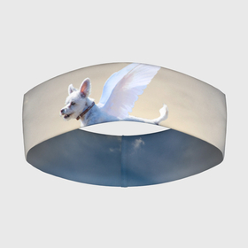 Повязка на голову 3D с принтом Ангельский пес в Петрозаводске,  |  | Тематика изображения на принте: angel | dog | ангел | ангельский пес | крылья | пес | полет