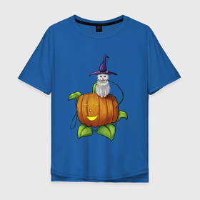 Мужская футболка хлопок Oversize с принтом Кот и тыква в Санкт-Петербурге, 100% хлопок | свободный крой, круглый ворот, “спинка” длиннее передней части | cat | pumpkin | кот | тыква