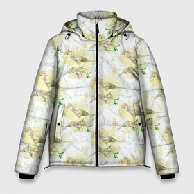 Мужская зимняя куртка 3D с принтом Маленькие птички в Санкт-Петербурге, верх — 100% полиэстер; подкладка — 100% полиэстер; утеплитель — 100% полиэстер | длина ниже бедра, свободный силуэт Оверсайз. Есть воротник-стойка, отстегивающийся капюшон и ветрозащитная планка. 

Боковые карманы с листочкой на кнопках и внутренний карман на молнии. | весна | лето | паттерн | птенец | птица | птицы | птички