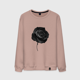 Мужской свитшот хлопок с принтом Чёрная роза | Black rose в Курске, 100% хлопок |  | black | black rose | rose | розы | цветы | чёрная роза
