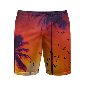 Мужские шорты спортивные с принтом РАЙСКОЕ НАСЛАЖДЕНИЕ ,  |  | закат | лето | лучи | небо | отдых | пальмы | пляж | птицы | солнце