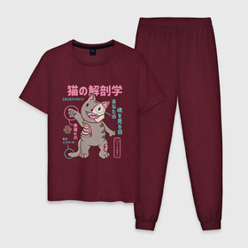 Мужская пижама хлопок с принтом Анатомия кота в японском стиле в Тюмени, 100% хлопок | брюки и футболка прямого кроя, без карманов, на брюках мягкая резинка на поясе и по низу штанин
 | Тематика изображения на принте: anime | halloween | kawaii | maneki | neko | skull | x ray | xray | анатомический кот | аниме | иероглифы | кавай | кавайи | кандзи | киса | киска | кости | кот | котёнок | котя | кошка | лапки | м | манеки | неко | рентген