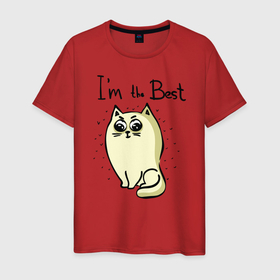 Мужская футболка хлопок с принтом Самый лучший кот в Петрозаводске, 100% хлопок | прямой крой, круглый вырез горловины, длина до линии бедер, слегка спущенное плечо. | 