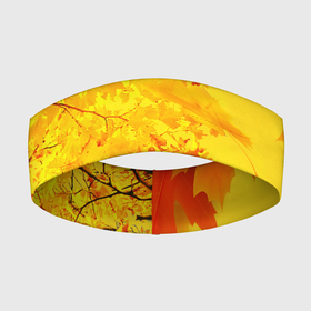 Повязка на голову 3D с принтом ОСЕННИЕ ЦВЕТА | ЗОЛОТАЯ ОСЕНЬ ,  |  | autumn | golden time | leaves | maple | yellow | желтая | золотая пора | клён | листья | осенняя | осень | падающий клен