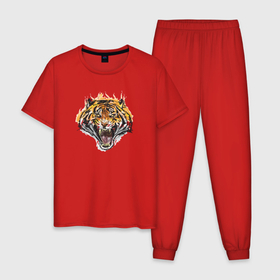 Мужская пижама хлопок с принтом Ярость  тигра в Курске, 100% хлопок | брюки и футболка прямого кроя, без карманов, на брюках мягкая резинка на поясе и по низу штанин
 | tiger | в шапке | год тигра | голова | кошка | крутой | тигр | тигренок | хипстер