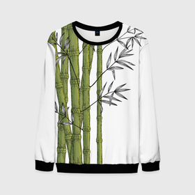 Мужской свитшот 3D с принтом Графический бамбук в Петрозаводске, 100% полиэстер с мягким внутренним слоем | круглый вырез горловины, мягкая резинка на манжетах и поясе, свободная посадка по фигуре | бамбук | ветки | деревья | диства | зеленый | лес | листья | природа
