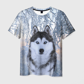 Мужская футболка 3D с принтом Хаски В Зимнем Лесу в Тюмени, 100% полиэфир | прямой крой, круглый вырез горловины, длина до линии бедер | Тематика изображения на принте: dog | forest | husky | winter | зима | лес | новый год | снег | собака | хаски