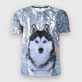 Мужская футболка 3D Slim с принтом Хаски В Зимнем Лесу в Белгороде, 100% полиэстер с улучшенными характеристиками | приталенный силуэт, круглая горловина, широкие плечи, сужается к линии бедра | Тематика изображения на принте: dog | forest | husky | winter | зима | лес | новый год | снег | собака | хаски