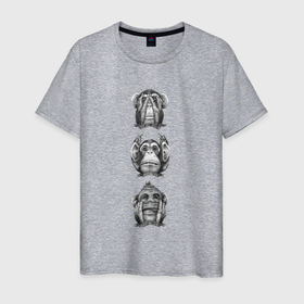 Мужская футболка хлопок с принтом Three wise monkeys в Екатеринбурге, 100% хлопок | прямой крой, круглый вырез горловины, длина до линии бедер, слегка спущенное плечо. | three wise monkeys | животные | мудрость | обезьяны | шимпанзе