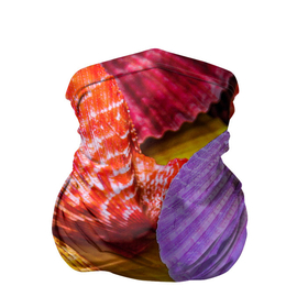 Бандана-труба 3D с принтом Разноцветные ракушки  multicolored seashells в Белгороде, 100% полиэстер, ткань с особыми свойствами — Activecool | плотность 150‒180 г/м2; хорошо тянется, но сохраняет форму | holiday | multicolored seashells | sea | sea house | summer | лагуна | лето | моллюск | море | морская тема | морские обитатели | морские ракушки | морской пляж | океан | отпуск | перламутр | пляж | подводный мир