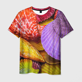 Мужская футболка 3D с принтом Разноцветные ракушки  multicolored seashells в Новосибирске, 100% полиэфир | прямой крой, круглый вырез горловины, длина до линии бедер | holiday | multicolored seashells | sea | sea house | summer | лагуна | лето | моллюск | море | морская тема | морские обитатели | морские ракушки | морской пляж | океан | отпуск | перламутр | пляж | подводный мир