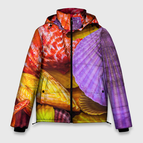 Мужская зимняя куртка 3D с принтом Разноцветные ракушки  multicolored seashells в Новосибирске, верх — 100% полиэстер; подкладка — 100% полиэстер; утеплитель — 100% полиэстер | длина ниже бедра, свободный силуэт Оверсайз. Есть воротник-стойка, отстегивающийся капюшон и ветрозащитная планка. 

Боковые карманы с листочкой на кнопках и внутренний карман на молнии. | Тематика изображения на принте: holiday | multicolored seashells | sea | sea house | summer | лагуна | лето | моллюск | море | морская тема | морские обитатели | морские ракушки | морской пляж | океан | отпуск | перламутр | пляж | подводный мир