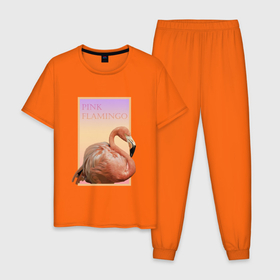 Мужская пижама хлопок с принтом Розовый фламинго в рамке в Белгороде, 100% хлопок | брюки и футболка прямого кроя, без карманов, на брюках мягкая резинка на поясе и по низу штанин
 | flamingo | градиент | животные | надпись | птица | рамка | розовый | фламинго