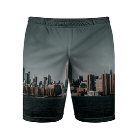 Мужские шорты спортивные с принтом Вид на Нью Йорк в Петрозаводске,  |  | Тематика изображения на принте: большой город | вид | здания | нью йорк | океан | панорама