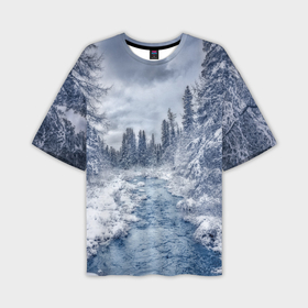 Мужская футболка OVERSIZE 3D с принтом СНЕЖНЫЙ ПЕЙЗАЖ в Тюмени,  |  | fores | ice | snow | white | winter | белый | вода | зима | иней | красота | лед | лес | мороз | небо | новый год | пейзаж | природа | река | ручей | снег