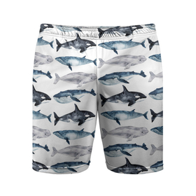 Мужские шорты спортивные с принтом принт с китами в Курске,  |  | ocean | sea | киты | море | морской принт | морской фон | океан | паттерн | рыбы | текстуры