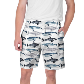 Мужские шорты 3D с принтом принт с китами ,  полиэстер 100% | прямой крой, два кармана без застежек по бокам. Мягкая трикотажная резинка на поясе, внутри которой широкие завязки. Длина чуть выше колен | ocean | sea | киты | море | морской принт | морской фон | океан | паттерн | рыбы | текстуры