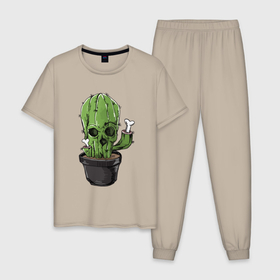 Мужская пижама хлопок с принтом Смертельный кактус в Кировске, 100% хлопок | брюки и футболка прямого кроя, без карманов, на брюках мягкая резинка на поясе и по низу штанин
 | арт | горшок | иллюстрация | кактус | кости | растение | цветок | череп