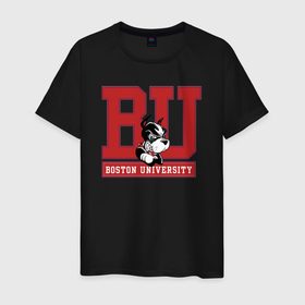 Мужская футболка хлопок с принтом Boston University. в Белгороде, 100% хлопок | прямой крой, круглый вырез горловины, длина до линии бедер, слегка спущенное плечо. | boston university | бостон | бульдог | сша | университет