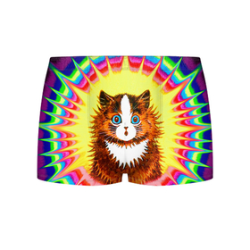 Мужские трусы 3D с принтом Psychedelic Rainbow Cat в Курске, 50% хлопок, 50% полиэстер | классическая посадка, на поясе мягкая тканевая резинка | Тематика изображения на принте: benedict cumberbatch | louis wain | louis wains cats | psychedelic rainbow cat | the electrical life | антропоморфный | бенедикт камбербэтч | известный художник | кошачьи миры луиса уэйна | луис вэйн | луис уэйн | радуга | радужный кот