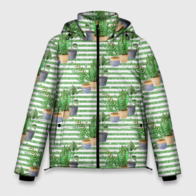 Мужская зимняя куртка 3D с принтом Комнатные цветы в Санкт-Петербурге, верх — 100% полиэстер; подкладка — 100% полиэстер; утеплитель — 100% полиэстер | длина ниже бедра, свободный силуэт Оверсайз. Есть воротник-стойка, отстегивающийся капюшон и ветрозащитная планка. 

Боковые карманы с листочкой на кнопках и внутренний карман на молнии. | горшок | комнатные цветы | растение | цветочки | цветы