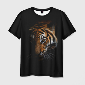 Мужская футболка 3D с принтом Год тигра. Голова в Новосибирске, 100% полиэфир | прямой крой, круглый вырез горловины, длина до линии бедер | год тигра | животное | кошачьи | тигр | хищник