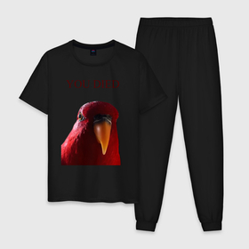 Мужская пижама хлопок с принтом Красный попугай wuewuewuewuewue , 100% хлопок | брюки и футболка прямого кроя, без карманов, на брюках мягкая резинка на поясе и по низу штанин
 | 3 | bird | dark | gumi | hideaki utsumi | meme | red | souls | tiktok | wue | wuewuewue | вуе | дарк | красная | красный | мем | попугай | птица | соулс | тикоток | япония