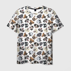 Мужская футболка 3D с принтом Разные Породы Собак в Тюмени, 100% полиэфир | прямой крой, круглый вырез горловины, длина до линии бедер | animal | dog | барбос | бобик | год собаки | друг человека | животное | зверь | ищейка | кинолог | кость | лайка | лапы | пес | собака | собачка | хищник | четвероногий | шарик | щенок