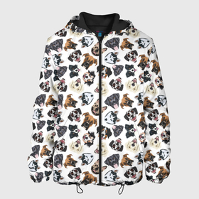 Мужская куртка 3D с принтом Разные Породы Собак в Екатеринбурге, ткань верха — 100% полиэстер, подклад — флис | прямой крой, подол и капюшон оформлены резинкой с фиксаторами, два кармана без застежек по бокам, один большой потайной карман на груди. Карман на груди застегивается на липучку | Тематика изображения на принте: animal | dog | барбос | бобик | год собаки | друг человека | животное | зверь | ищейка | кинолог | кость | лайка | лапы | пес | собака | собачка | хищник | четвероногий | шарик | щенок
