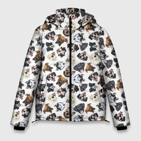Мужская зимняя куртка 3D с принтом Разные Породы Собак в Петрозаводске, верх — 100% полиэстер; подкладка — 100% полиэстер; утеплитель — 100% полиэстер | длина ниже бедра, свободный силуэт Оверсайз. Есть воротник-стойка, отстегивающийся капюшон и ветрозащитная планка. 

Боковые карманы с листочкой на кнопках и внутренний карман на молнии. | animal | dog | барбос | бобик | год собаки | друг человека | животное | зверь | ищейка | кинолог | кость | лайка | лапы | пес | собака | собачка | хищник | четвероногий | шарик | щенок
