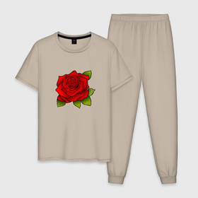 Мужская пижама хлопок с принтом Красная роза Рисунок в Курске, 100% хлопок | брюки и футболка прямого кроя, без карманов, на брюках мягкая резинка на поясе и по низу штанин
 | красная | красный | растение | растения | рисунки | рисунок | роза | розы | цветок | цветы