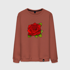 Мужской свитшот хлопок с принтом Красная роза Рисунок в Петрозаводске, 100% хлопок |  | Тематика изображения на принте: красная | красный | растение | растения | рисунки | рисунок | роза | розы | цветок | цветы