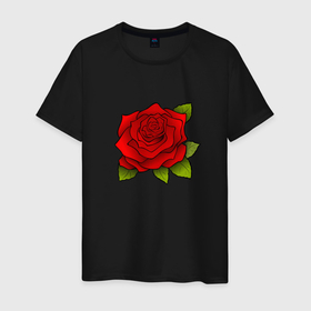 Мужская футболка хлопок с принтом Красная роза Рисунок в Курске, 100% хлопок | прямой крой, круглый вырез горловины, длина до линии бедер, слегка спущенное плечо. | красная | красный | растение | растения | рисунки | рисунок | роза | розы | цветок | цветы