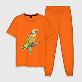 Мужская пижама хлопок с принтом Любимый попугай , 100% хлопок | брюки и футболка прямого кроя, без карманов, на брюках мягкая резинка на поясе и по низу штанин
 | Тематика изображения на принте: арт | ветка | иллюстрация | кеша | птинец