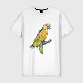 Мужская футболка хлопок Slim с принтом Любимый попугай в Курске, 92% хлопок, 8% лайкра | приталенный силуэт, круглый вырез ворота, длина до линии бедра, короткий рукав | арт | ветка | иллюстрация | кеша | птинец
