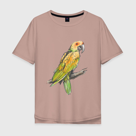Мужская футболка хлопок Oversize с принтом Любимый попугай в Белгороде, 100% хлопок | свободный крой, круглый ворот, “спинка” длиннее передней части | арт | ветка | иллюстрация | кеша | птинец