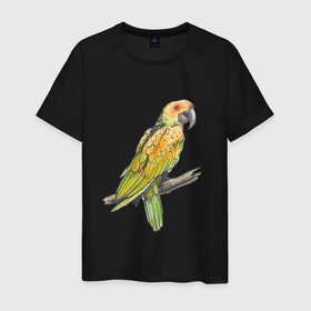 Мужская футболка хлопок с принтом Любимый попугай в Екатеринбурге, 100% хлопок | прямой крой, круглый вырез горловины, длина до линии бедер, слегка спущенное плечо. | арт | ветка | иллюстрация | кеша | птинец