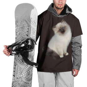 Накидка на куртку 3D с принтом Котенок Ми в Санкт-Петербурге, 100% полиэстер |  | Тематика изображения на принте: животное | кот | котенок | кошка | мило | нежность