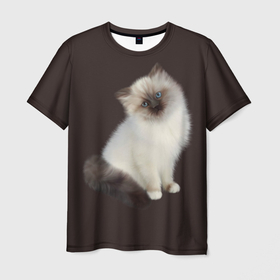 Мужская футболка 3D с принтом Котенок Ми , 100% полиэфир | прямой крой, круглый вырез горловины, длина до линии бедер | животное | кот | котенок | кошка | мило | нежность