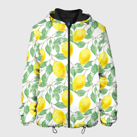 Мужская куртка 3D с принтом Лимоны 3d в Новосибирске, ткань верха — 100% полиэстер, подклад — флис | прямой крой, подол и капюшон оформлены резинкой с фиксаторами, два кармана без застежек по бокам, один большой потайной карман на груди. Карман на груди застегивается на липучку | 3d | background | branches | citrus | flowers | lemon | lemon tree | lemons | pattern | plant | tree | yellow | ветви | дерево | желтый | лимон | лимонное дерево | лимоны | листья | паттерн | растение | фон | цветы | цитрусы