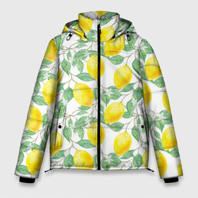 Мужская зимняя куртка 3D с принтом Лимоны 3d в Тюмени, верх — 100% полиэстер; подкладка — 100% полиэстер; утеплитель — 100% полиэстер | длина ниже бедра, свободный силуэт Оверсайз. Есть воротник-стойка, отстегивающийся капюшон и ветрозащитная планка. 

Боковые карманы с листочкой на кнопках и внутренний карман на молнии. | 3d | background | branches | citrus | flowers | lemon | lemon tree | lemons | pattern | plant | tree | yellow | ветви | дерево | желтый | лимон | лимонное дерево | лимоны | листья | паттерн | растение | фон | цветы | цитрусы