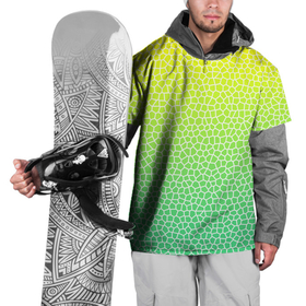 Накидка на куртку 3D с принтом Витражная мозаика в Курске, 100% полиэстер |  | витраж | градиент | зеленое стекло | зеленый | зеленый радуга | зеленый сети | лимон | мозаика | радуга | светло зеленый | соты | яркий