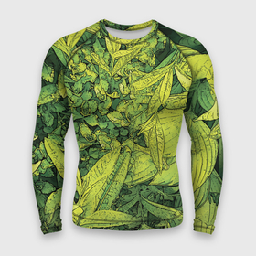 Мужской рашгард 3D с принтом Растительная жизнь  Хоста ,  |  | весенний | зеленый | листья | растения | салатовый | свежий | хоста | цветы