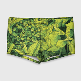 Мужские купальные плавки 3D с принтом Растительная жизнь   Хоста в Кировске, Полиэстер 85%, Спандекс 15% |  | весенний | зеленый | листья | растения | салатовый | свежий | хоста | цветы