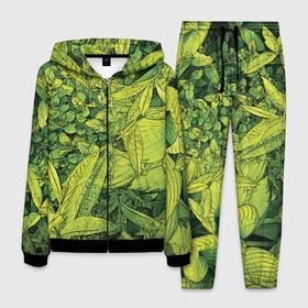 Мужской костюм 3D с принтом Растительная жизнь   Хоста в Екатеринбурге, 100% полиэстер | Манжеты и пояс оформлены тканевой резинкой, двухслойный капюшон со шнурком для регулировки, карманы спереди | весенний | зеленый | листья | растения | салатовый | свежий | хоста | цветы